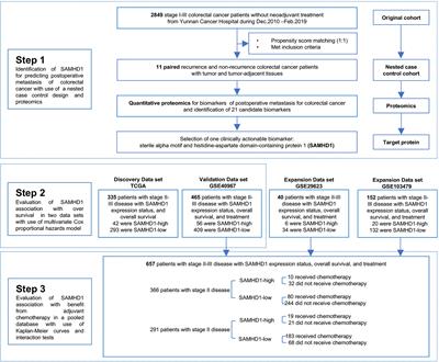 SAMHD1 as a prognostic and predictive biomarker in stage II colorectal cancer: A multicenter cohort study